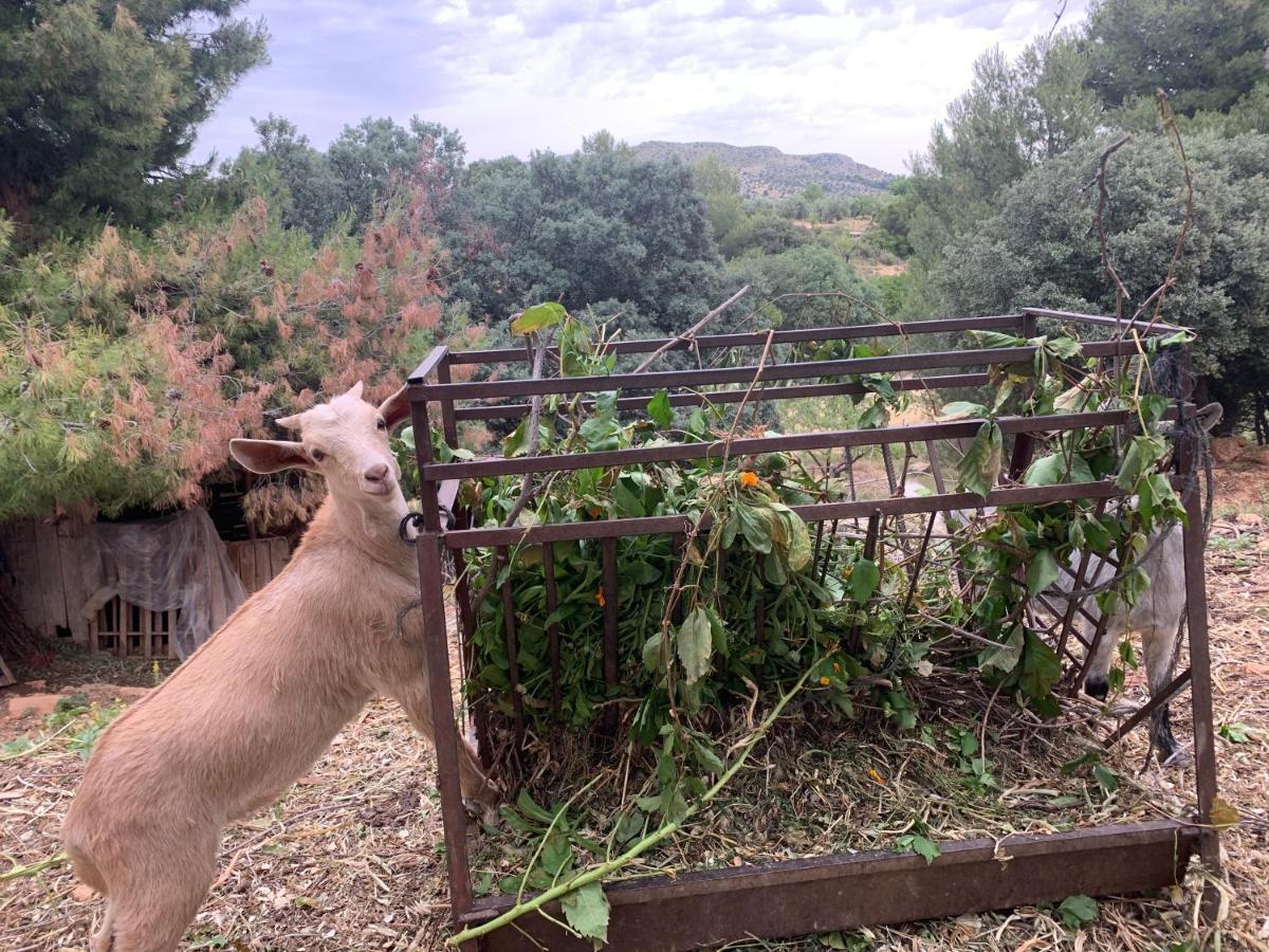 Cabanas Cortijo El Helao Pozo Alcón Εξωτερικό φωτογραφία
