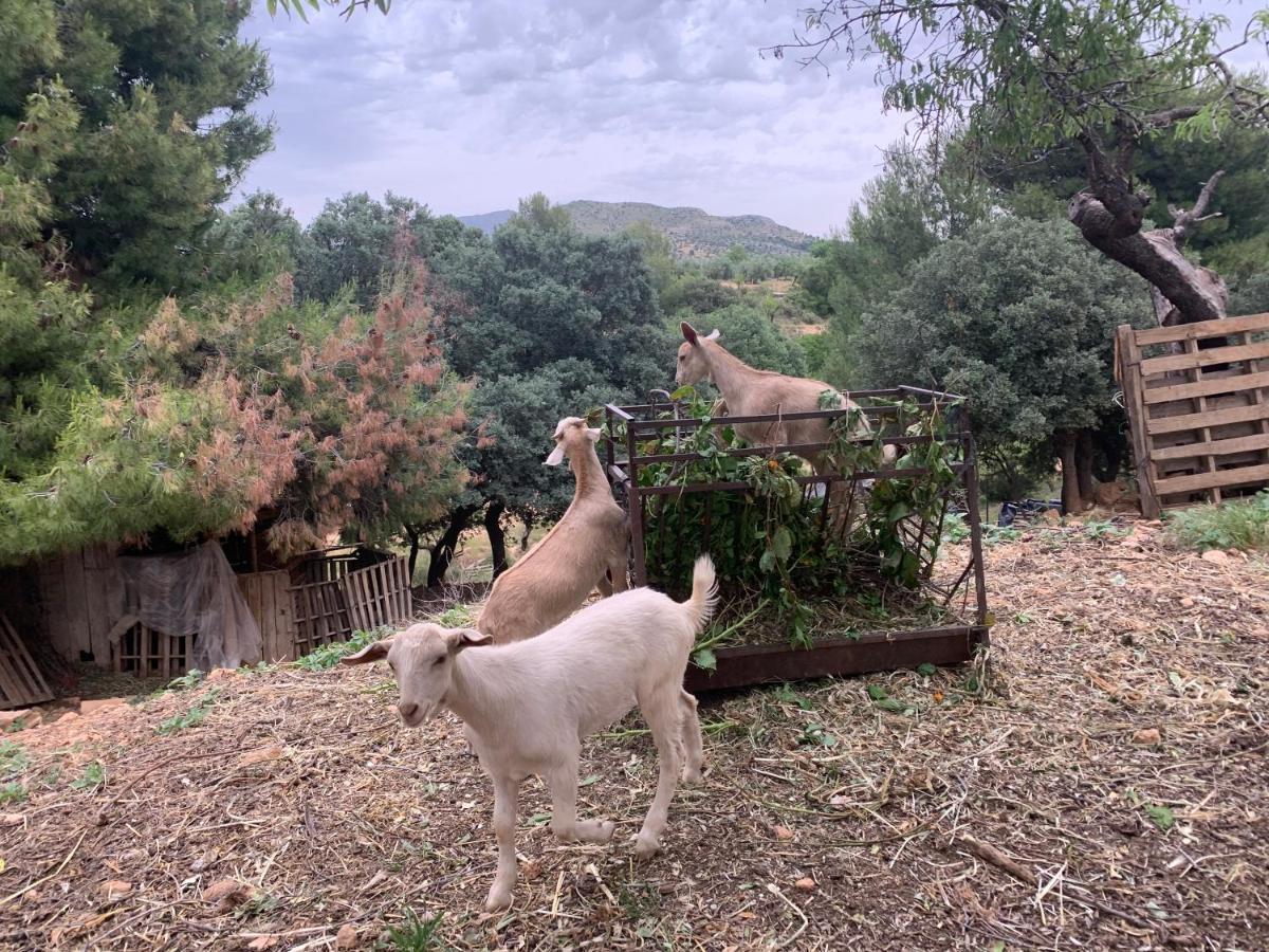 Cabanas Cortijo El Helao Pozo Alcón Εξωτερικό φωτογραφία