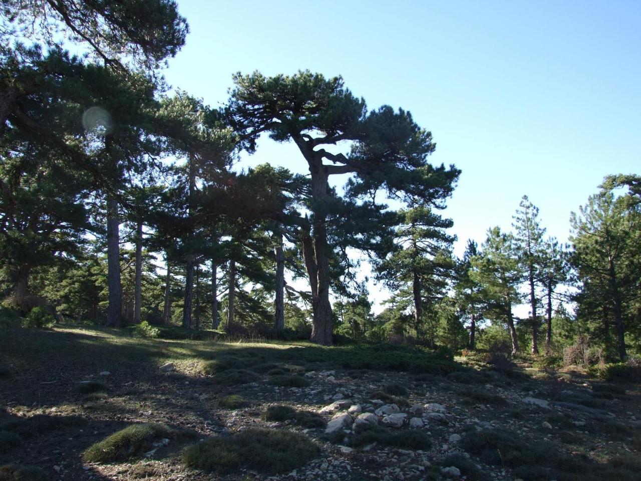Cabanas Cortijo El Helao Pozo Alcón Εξωτερικό φωτογραφία